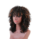 Dark Brown Synthetic Kinky Curly Wigs for Women Ombre Short Blonde Wig Afri