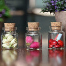 Empty Tiny Mini Clear Message Glass Bottles Vials With Cork x AU 22 28mm Q7 V1Q7