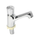 Auto Self Closing Water Saving Tap Basin Cold Faucet Delay Push Button Bathroom