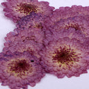 22Pcs Dried Pressed Flowers Butterfly Shape Scrapbooking Art Crafts Specimen