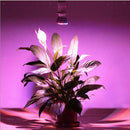 2 Pcs E27 8/10W AC 85-265V LED Grow Light Bulb