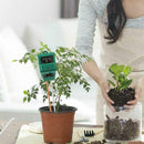 1*PH Meter Plants Pot Hygrometer Soil Tester Plant Moisture Growth S5C4