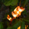 LED Solar Light Strings for Party Decor Bee Shaped Waterproof Night Outdoor Lamp