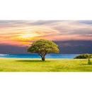 5D DIY Diamond Painting Tree Cross Stitch Embroidery Needlework Home Decor