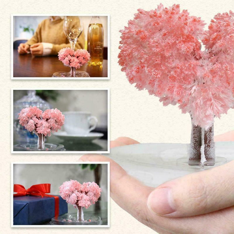 Magic Growing Tree Paper Crystal Trees Desktop Cherry Decorations Blossom