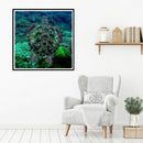 5D DIY Full Drill Diamond Painting Sea Turtle Embroidery Mosaic Craft Kit