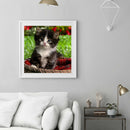 5D DIY Full Drill Diamond Painting Lovely Cat Cross Stitch Embroidery Kit