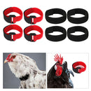 8x No Crow Crow Reduction Collar for Roosters Collars Poultry Supplies