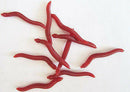 50x Red Earthworm Soft Worm Fishing Lures Bait Hooks Baits Tackle Crankbaits