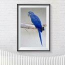 5D DIY Full Drill Diamond Painting Bird Embroidery Mosaic Craft Kits Decor