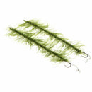 2pcs Carp Fishing Rigs Ready Made Hair Rigs Terminal Tackle Hook Weed Line  Y9W2