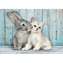 5D DIY Full Drill Diamond Painting Animal Cross Stitch Mosaic Craft Kits