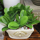 5X(Artificial flower, leaves of Phalaenopsis (moth orchid), leaf / green ( B9V8)