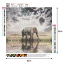 5D DIY Full Drill Diamond Painting Cross Stitch Embroidery (Elephant09)