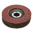 10 Piece Set 115Mm / 4.5 Inch Flap Disc Sanding Sanding Disc 80 Grit Wood M