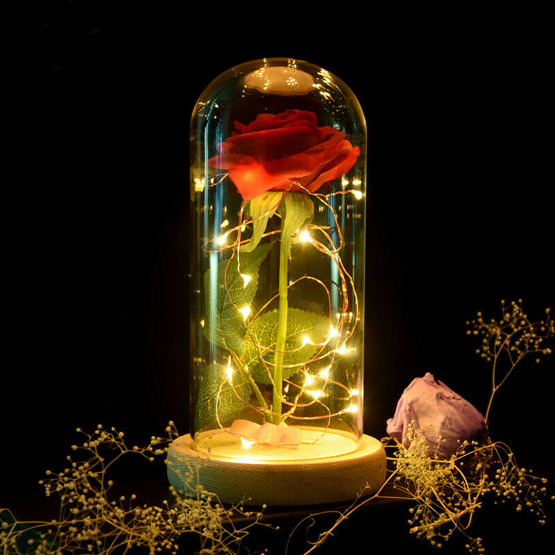 Eternal Rose Flower Red Silk Rose and LED Light with Fallen Petals in Glass K7T8