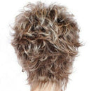 Womens Short Fluffy Wavy mixed Blond Brown Curly Natural Hair Wigs: