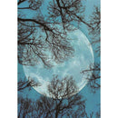 Full Round Drill 5D DIY Diamond Painting Moon Embroidery Wall Pictures Kit