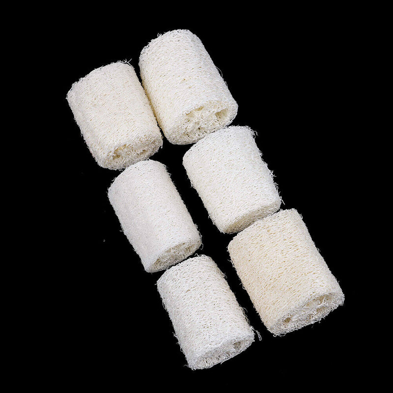 6Pcs Natural Loofah Luffa Loofa Spa Bath Sponge Kitchen Clean ScrubberTEUS