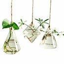 Container Flower Planter Hanging Glass Home Garden Decor