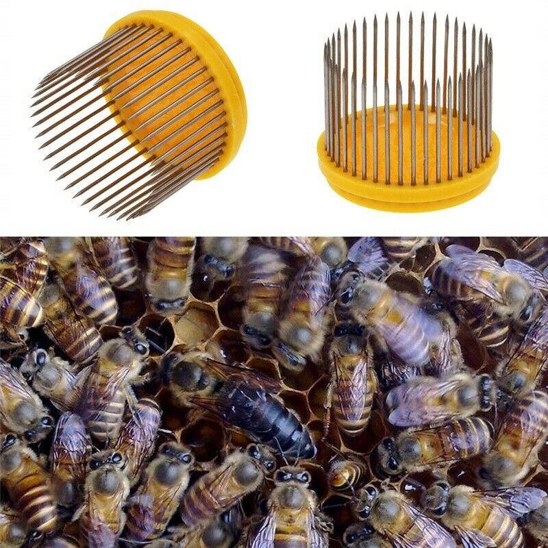 3Pcs Beekeeping Queen Needle Type Bee Cage Stainless Steel Catching Catcher