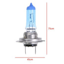 1pc H7 55W 6000K Ultra White Car Headlight Halogen Lamp Replacement Bulb