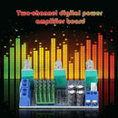 TPA3116D2 2-Channel Stereo High Power Digital Audio Power Amplifier Board