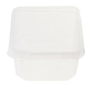 Plastic Insect Spider Habitat Feeding Box