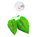 2019 Artificial Plant Leaf Resting Hammock Fish Rest Bed Tropical Aquariu FMX