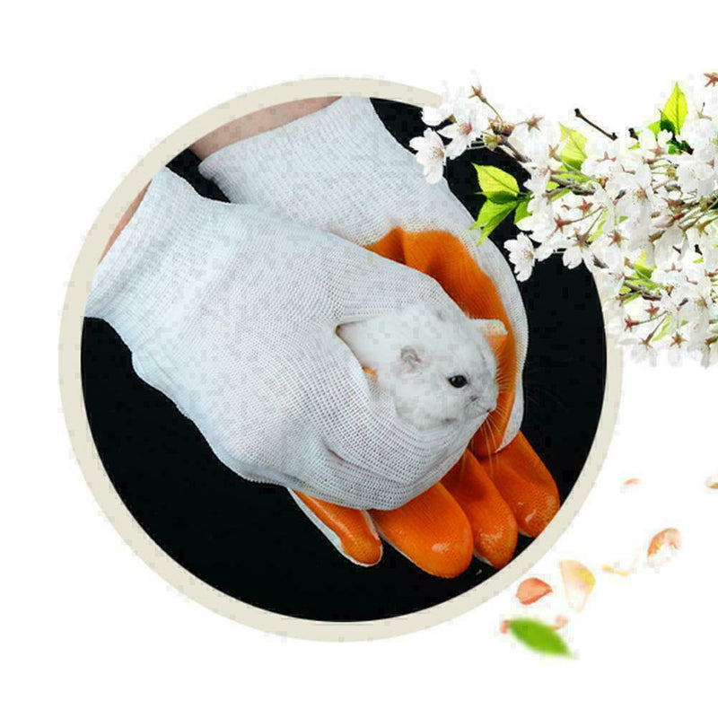 Hamster Bite Glove Rabbit Chinchilla Guinea Pig Bite Hot N6W8 V2N0 Protecti X9E2
