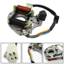 Ignition Stator Magneto Plate for Chinese 50cc 110cc 125CC ATV Quad 2 Coils ZPB
