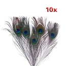 10Pcs x Natural Peacock Tail Feathers-Natuatal Color J3J5