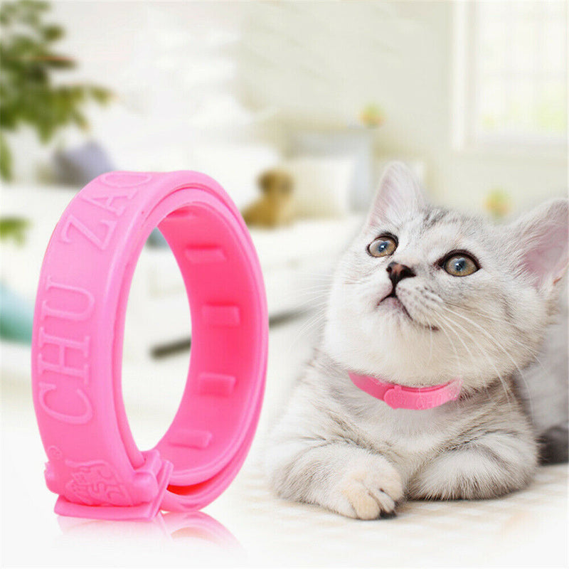 1pc Cute Pet Collar Protection Ring F. Cat Kitten Pink Anti Flea Tick Mite Louse