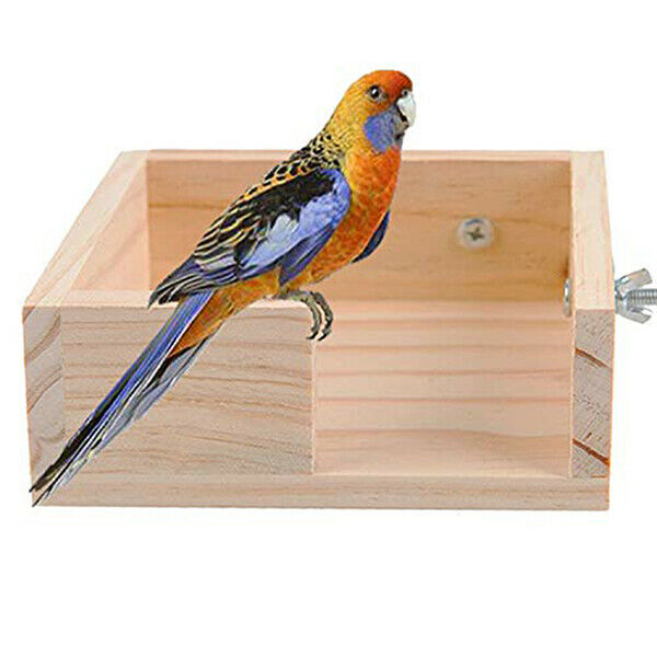 Pet Bird Perch Parrot Parakeet Stand Platform Food Feeder Corner Desk Small Q6V6