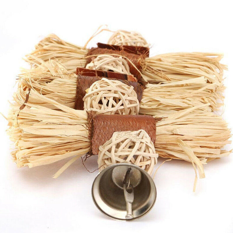 Pet Parrot Conure Cockatiel Parakeet Budgie Bird Chew Bites Swing Cages Toys