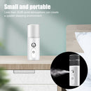 30ml Waterless Auto Off Mini Portable Office Home Car Mist Maker Air Humidifier