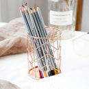 1X(Wire Metal Pen Holder, Makerup Brush Holder Pencil Holder Desk Organizer