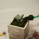 Garden Tools Set Cultivating Transplanting Mini Loosening Soil Home Use