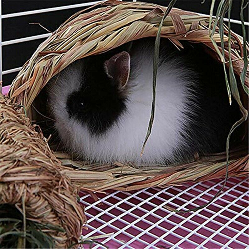 Natural Grass Straw Rabbit Hamster Totoro Guinea Pig Guinea-Rabbit A5J5