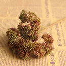 2x Artificial Foliage Succulent Fruit Floral Plant Wedding Garden Decor Brown