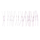 10Pcs 14mm Glass Magnetic Induction Reed Switch MagSwitch Normally Open S Gw