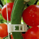 100Pcs Garden Vegetables Tomato Vine Stalks Grow Upright Support Plant Cli EVW