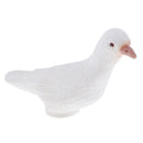Magic Simulation Pigeons Prank Toys Novelty Tricks for Beginners Kids 4 5 6 7 8