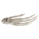 Simulation Skeleton Hands Haunted House for Halloween Party Halloween Prop_t Hn
