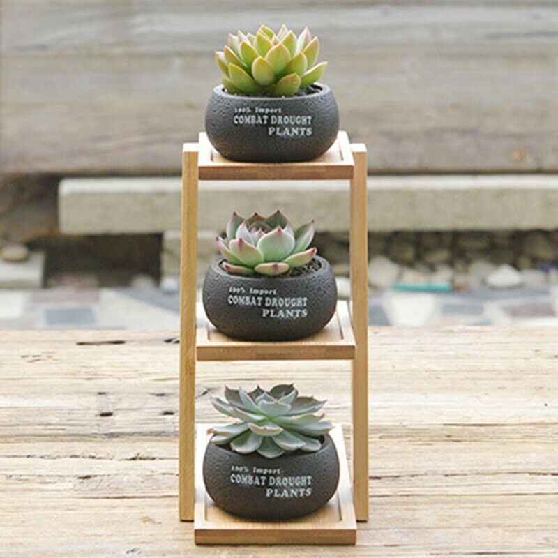 1 Set Cement Succulent Planter Pot Geometric Flower Pot 3 Bonsai Cactus Pla M7U3