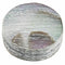 50x Guitar Accessories 6mm Multicolor Abalone Inlay Material Dots Guitar Pa