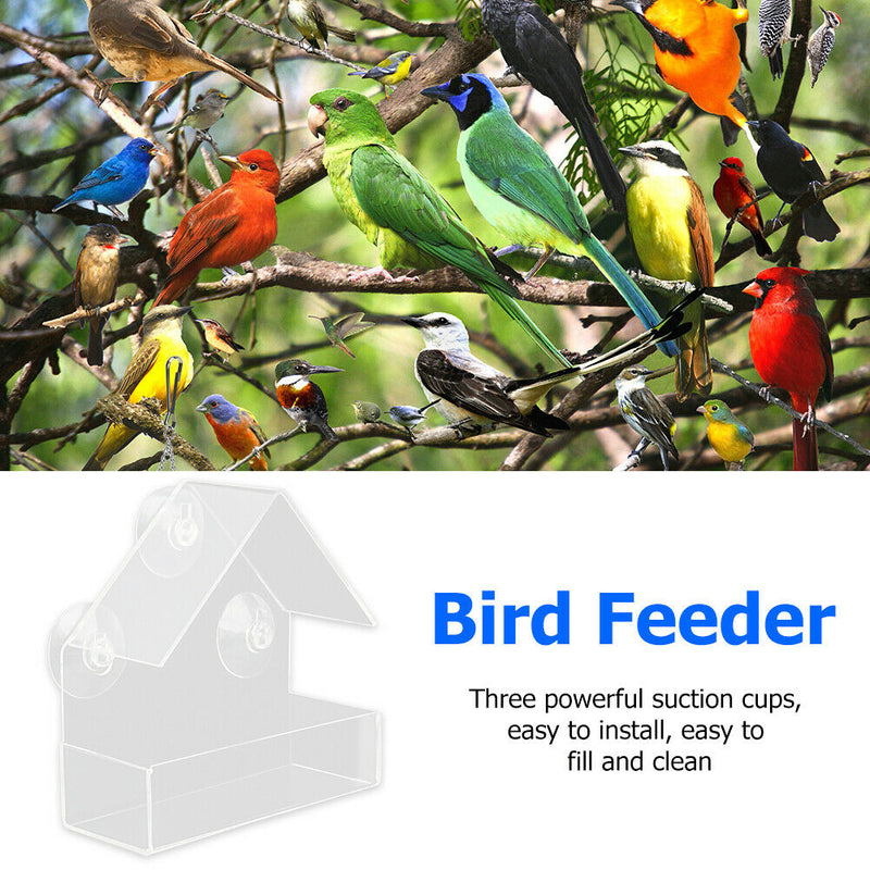 Creative Transparent Window Mounted Sucker Bird Feeder Tray Birdhouse Food Bird