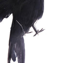 Artificial crow garden flocked halloween decoration birds crow decoy raven BX