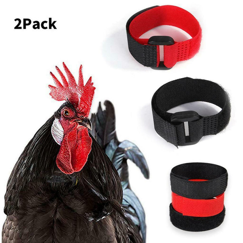 14pcs Rooster Collar Anti Crow Prevent Chicken from Screaming for Duck Black