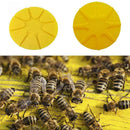 Beekeeping Beehive 8 Way Bee Escapes Beekeeping Equipment For Bee Out  m